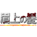 眉上の髪 (mayuue on her)