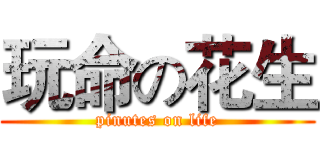 玩命の花生 (pinutes on life)