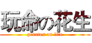 玩命の花生 (pinutes on life)