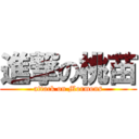 進撃の桃苗 (attack on Mormons)