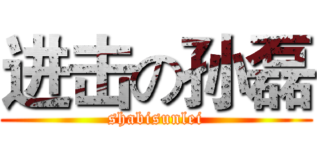 进击の孙磊 (shabisunlei)