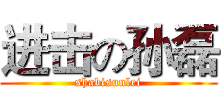 进击の孙磊 (shabisunlei)