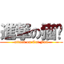 進撃の猫饭 (attack on Cat Fan)