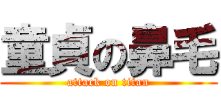 童貞の鼻毛 (attack on titan)