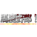 馬鹿野郎！ (you moron!)