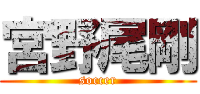 宮野尾剛 (soccer)