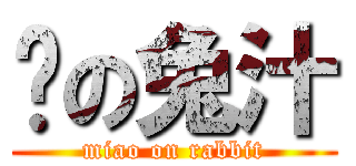 喵の兔汁 (miao on rabbit)