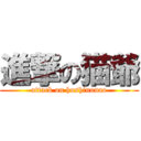 進撃の猫爺 (attack on hoshinonao)