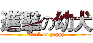 進擊の幼犬 (attack on puppy)