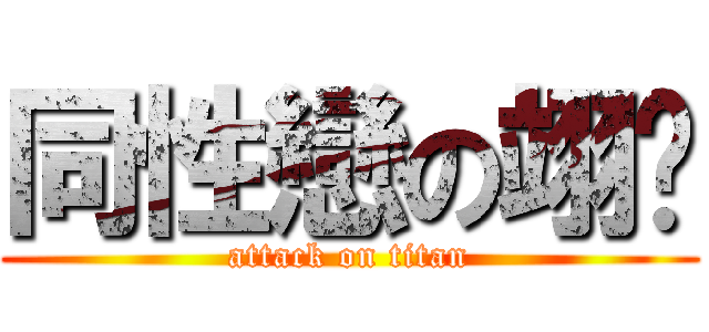 同性戀の翊瑭 (attack on titan)