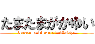 たまたまがかゆい (tamatama kintama dokkoisyo)