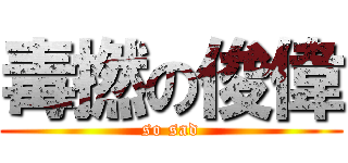 毒撚の俊偉 (so sad)