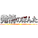 発情のぽんた (eroero  ts   ponta)