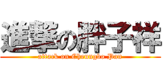 進撃の胖子祥 (attack on Cheungbo Pan)