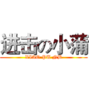 进击の小蒲 (XIAO PU NB)