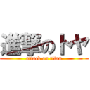 進撃のトヤ (attack on titan)