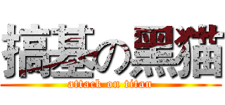 搞基の黑猫 (attack on titan)