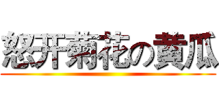 怒开菊花の黄瓜 ()