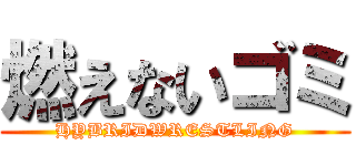 燃えないゴミ (HYBRIDWRESTLING)
