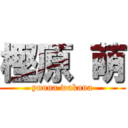 樫原 萌 (yuuna wakana)