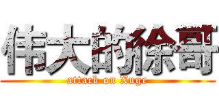 伟大的徐哥 (attack on Xuge)