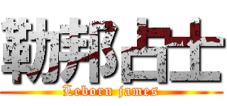 勒邦占士 (Leborn james)