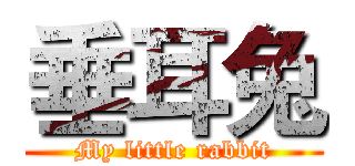 垂耳兔 (My little rabbit)