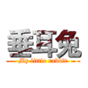 垂耳兔 (My little rabbit)