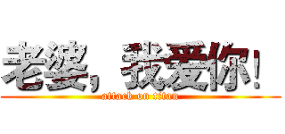 老婆，我爱你！ (attack on titan)