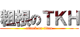 粗根のＴＫＨ (attack on titan)