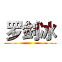 罗剑冰 ()