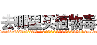 去哪里买植物毒 (去哪里买植物毒【电-186x2687x6963-Q278180069元-吉-药-业】我们做的是长期生意,靠的是老客户长期支持 http://sngk.net/5CXWfD
)