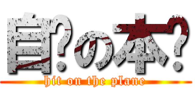 自撸の本屌 (hit on the plane)