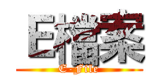 Ｅ檔案 (E-File)