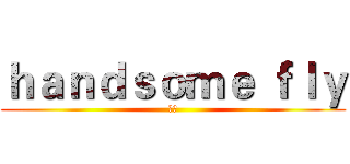 ｈａｎｄｓｏｍｅ ｆｌｙ (子源)