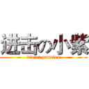 进击の小紫 (violet passion)