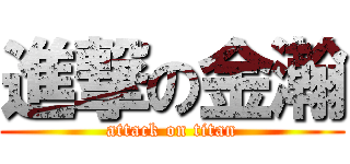 進撃の金瀚 (attack on titan)