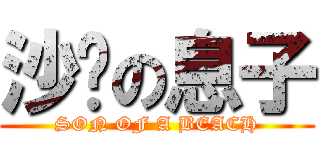 沙滩の息子 (SON OF A BEACH)