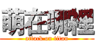 萌在哪裡 (attack on titan)