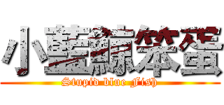 小藍鯨笨蛋 (Stupid blue Fish)