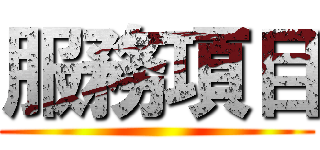 服務項目 ()
