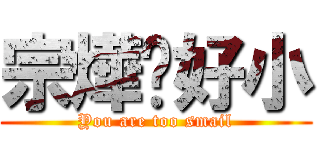 宗燁你好小 (You are too smail)