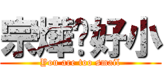 宗燁你好小 (You are too smail)