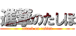 進撃のたしほ (attack on rabbit)