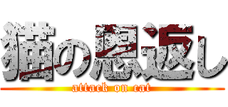 猫の恩返し (attack on cat)