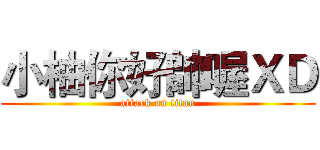 小柚你好帥喔ＸＤ (attack on titan)
