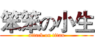 笨笨の小生 (attack on titan)