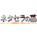 ネタセラの墓 (ＮＥＴＡＳＥＲＡ on grave)