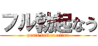 フル勃起なう (penis full erection)