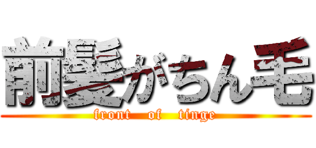 前髪がちん毛 (front   of   tinge)